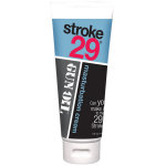 Stroke 29