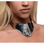 Stalen Halsband Met Hangslot