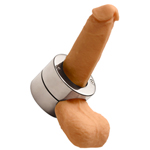 Stainless Steel Penis Trap